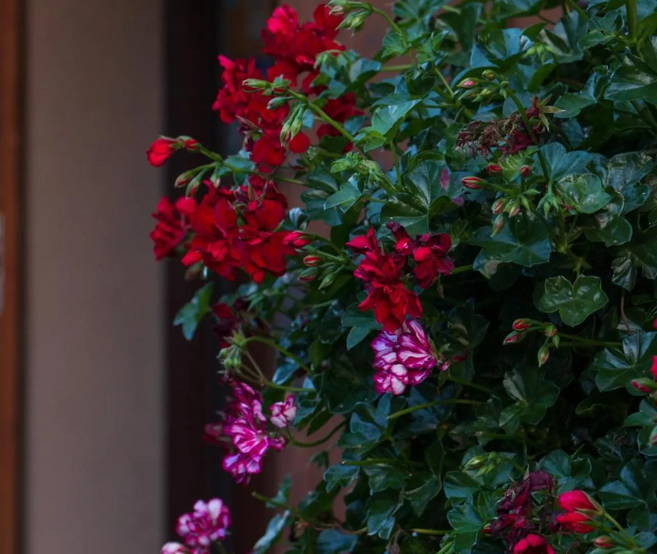 Hotel La Val Isolaccia